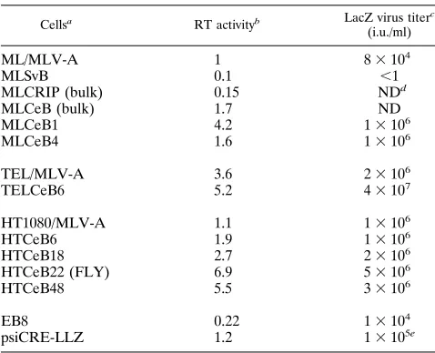 TABLE 1. Titer and stability of LacZ pseudotypesa