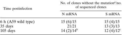 TABLE 1. Evolution of the 5�-end leader RNA sequence inmRNAs 3 (S gene) and 7 (N gene) during persistent infection