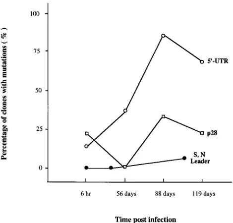 FIG. 3. A predominant 5� UTR mutation in the genomic RNA during MHV-A59 persistent infection