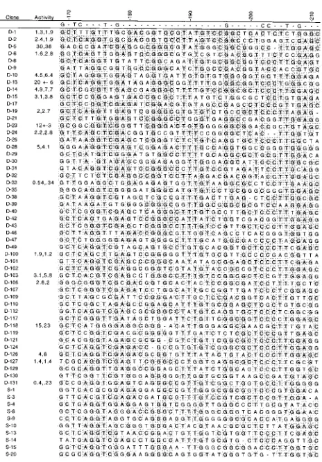FIG. 3. Sequences of selected RNAs. Manual alignment of 60 clones fromcycle 4. A clone is the name of a selected sequence