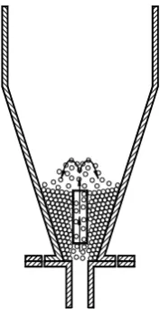 Fig. 3. Schematic diagram of particle states in a conical spouted bed dryer  with a draft tube in spouted bed regime