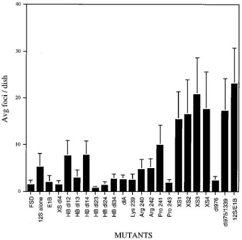 FIG. 5. Quantitation of E1B-cotransformed foci. Three dishes of primaryBRK cells were cotransfected with the indicated 12S plasmid and pCMVE1B as