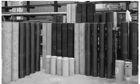 Fig 1. Specimens after curing and wrapping  