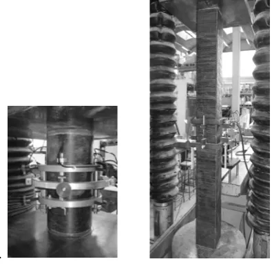 Fig. 3. Failure of CFRP confined specimens   