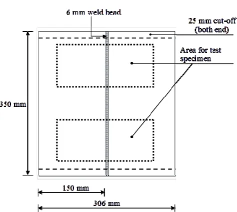 Fig. 4.  Typical test specimens  