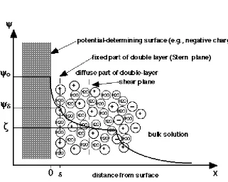 Fig. 1. Schematic diagram of the electric double layer model of a non-conducting surface, including colloidal particles, in contact with an electrolyte solution (the surface is assumed to have net negative charge in this schematic)