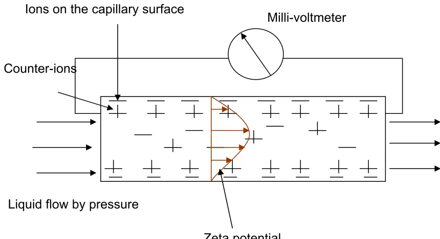 Fig 3. Streaming Potential mechanism 13   
