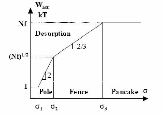Fig. 6 Dependence of the absolute value of the adsorption energy W on the surface charge density, Logarithmic scales 24 