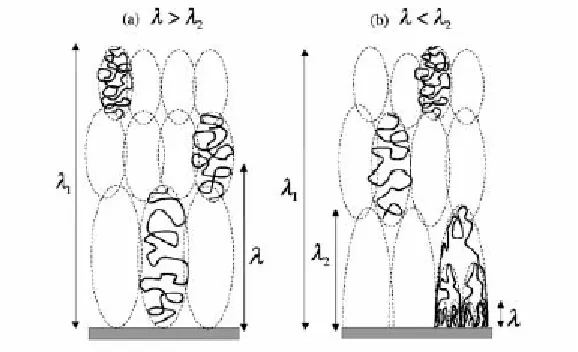 Fig. 11 Adsorption diagram of polyampholyte chains as a function of the surface charge density and the chain charge asymmetry 