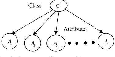 Fig. 4: Structure of a naïve Bayes network 