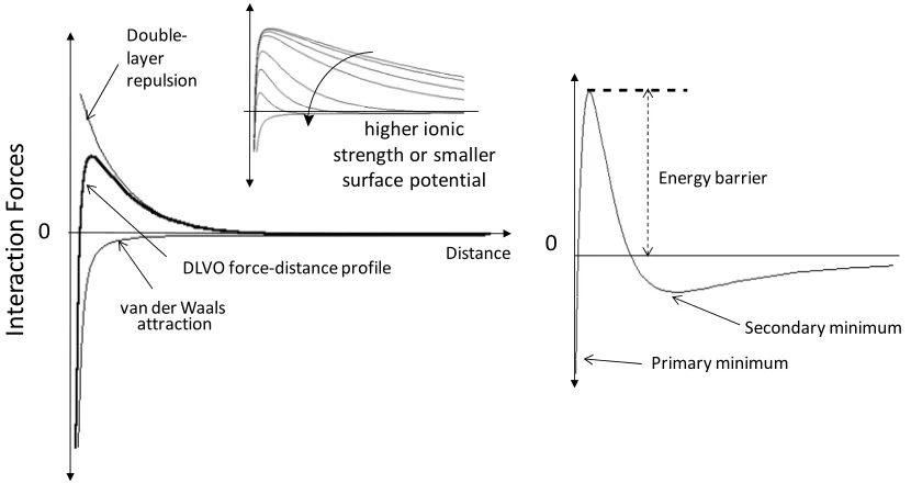 Fig. 3.   Forms of typical functions of interactive free energy vs. separation distance, as  secondary minimum in net interactive free energy