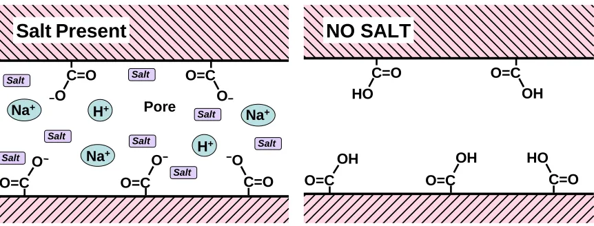 Fig. 5.   Representations of (left) a nanopore within cellulosic material in the presence of salt ions in aqueous solution; note presence of dissociated weak acid groups and counter-ions, and (right) suppression of weak acid dissociation and ionic double layer effects in absence of salt ions  