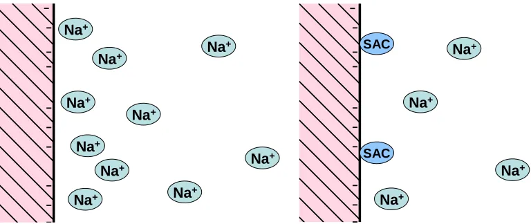 Fig. 7.   Representations of (left) a cellulosic surface in the presence of monovalent salt ions; only means “specifically adsorbed cation”
