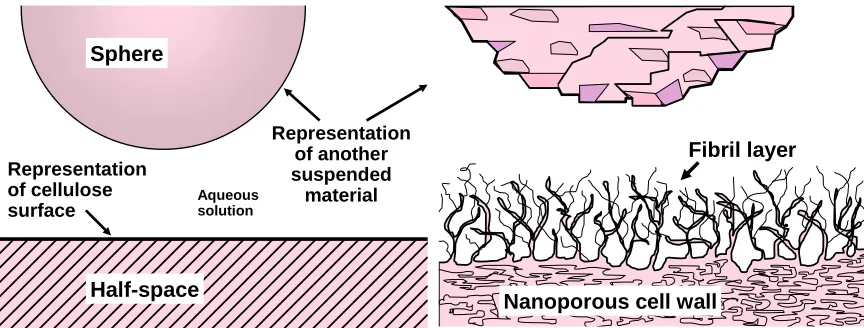 Fig. 1.   Representations of (left) an idealized geometry that can be used to estimate  short-range interaction forces involving surfaces in aqueous solution, and (right) a reminder that the actual situation is likely to involve porous and rough materials 