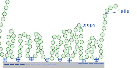 Fig. 8.   onto a negatively charge substrate (low ionic strength assumed) Schematic illustration of a low-charge-density linear cationic polyelectrolyte adsorbing  