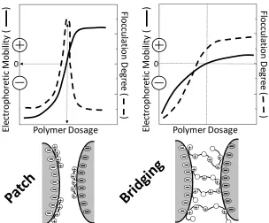 Fig. 9. (dashed)  Bridging vs patch flocculation: Electrophoretic mobility (solid line) and extent of flocculation  