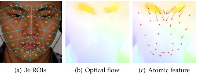 Figure 1. (a) The facial area is partitioned into 36 regions of interest (ROIs). (b) Optical flow is computed between this frame and the first frame in the video clip