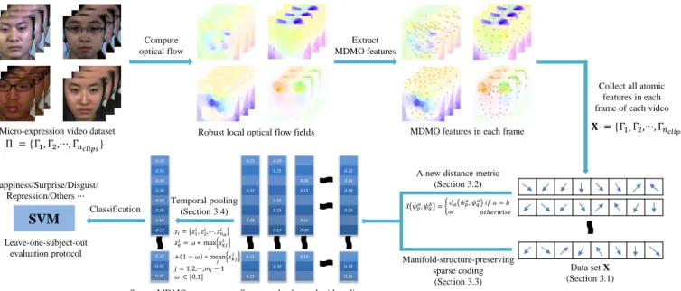 Figure 2. Overview of the proposed MER system with sparse MDMO features.