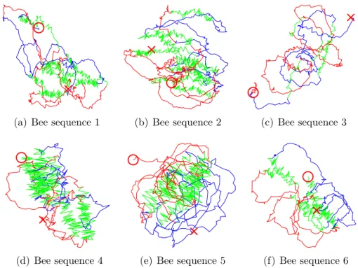 Figure 2.2: We illustrate bee dance sequences one through six. The plots corre- corre-spond to the bee’s trajectory during each video sequence