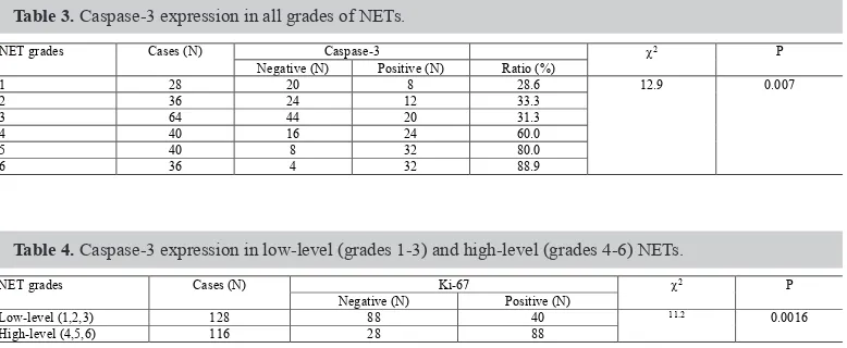 Table 3. Caspase-3 expression in all grades of NETs.