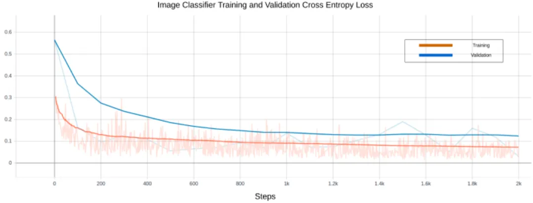 Figure 19: Cross Entropy Loss of the Inception v3 Data Cleaning Image Classification Model