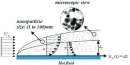 Figure 1 – Geometry for the flow under consideration 