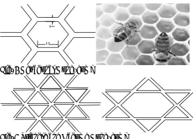 Fig. 4 Hexagonal Honeycomb 