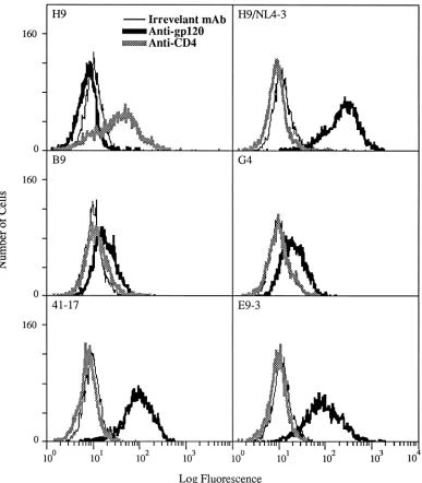 FIG. 5. Surface expression of HIV envelope proteins. Living cells were stained with the irrelevant antibody T14, anti-gp120 antibody 924, or anti-CD4 antibodySim.2, followed by a FITC-conjugated secondary antiserum