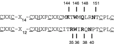 FIG. 2. Single amino acid substitutions in the HSV-1 Vmw110 RING ﬁngerhelix affect its ability to activate gene expression