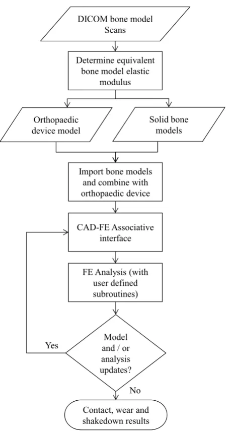 Fig. 1. Bone scans to FE contact models 