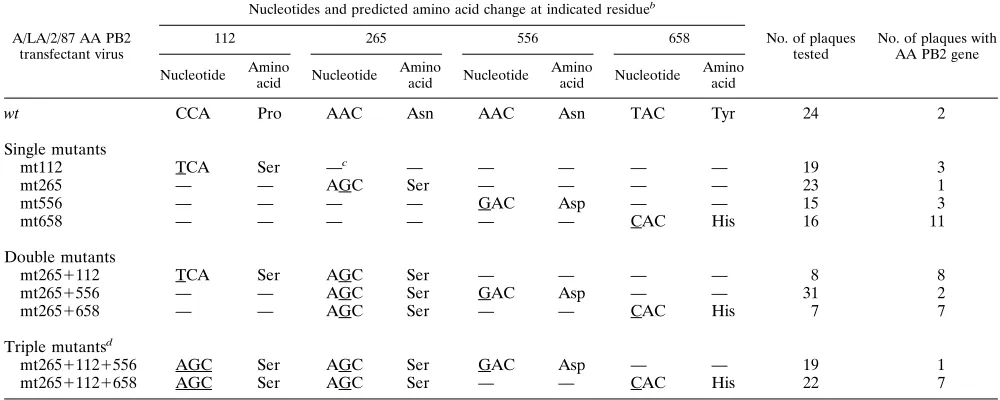 TABLE 1. Nucleotide and predicted amino acid substitutions inserted by site-directed mutagenesisa into the AA PB2 generescued into transfectant viruses