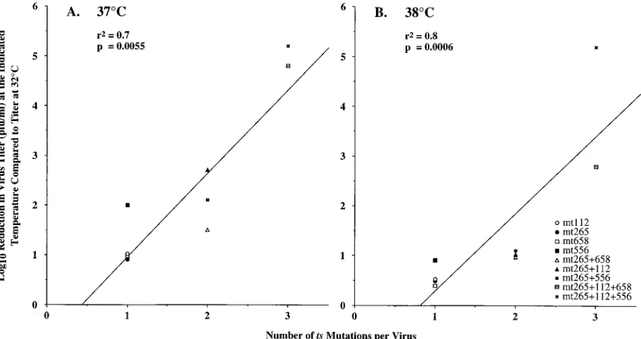 TABLE 2. Addition of sequential mutationsa into the PB2 gene of inﬂuenza A virus yields transfectant viruses that are progressively more ts
