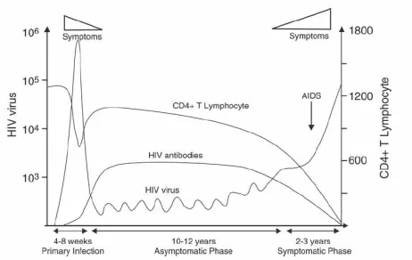 Fig. 1.The natural history of HIV infections dynamics as currentlyaccepted [1], [2], [3], [4].