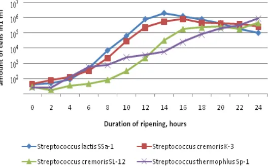 Fig. 2: Growth of lactic acid bacteria on a 10 ml clot