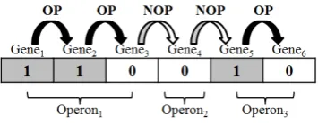 Fig 1. WO and TUB pairs 