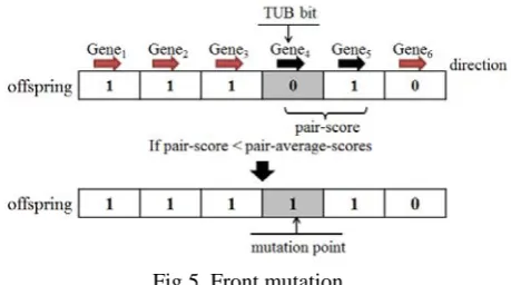 Fig 5. Front mutation 