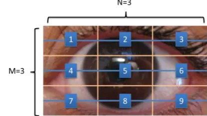 Fig. 7. Divide full-screen advertisement into 3*3 blocks 