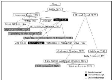 Figure 11 Ontology Elements of UMLSSN-A 
