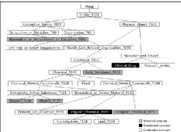 Figure 13 Sub-UMLSSN-A Ontology Elements 