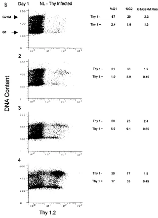 FIG. 2—Continued.