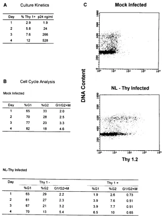 TABLE 3. NL-Thy and Vpr-X infection of SupT1 cells:culture kineticsa