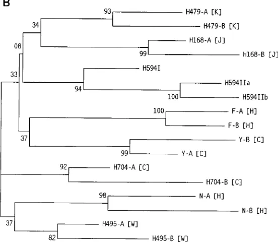 FIG. 2. Comparison of sequences of HIV-1-infected individuals with signiﬁcant differences in sequences in one patient