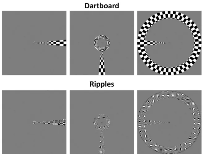 Fig. 2. Example combined wedge and ring aperture mapping stimuli with dartboard and ripples carrier patterns