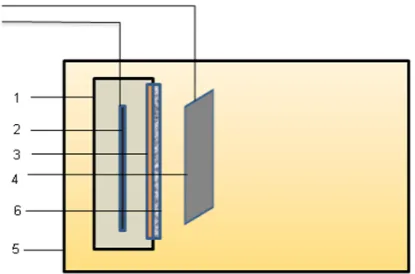 Figure 1 – The diagram of membrane external-anode electrolys-er: 1 – cathode chamber body; 2 – internal electrode-cathode; 3 – ion-exchange membrane; 4 – external electrode-anode;  5 – chromic solution chamber; 6 – filter cloth 