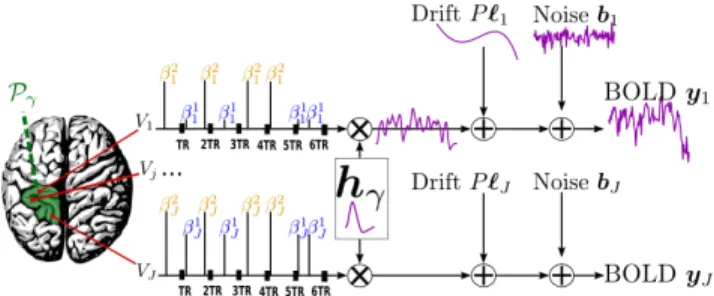 Fig. 2. Regional model of the BOLD signal in the JDE frame- frame-work. The neural response levels a m j match with the BOLD effects β j m .