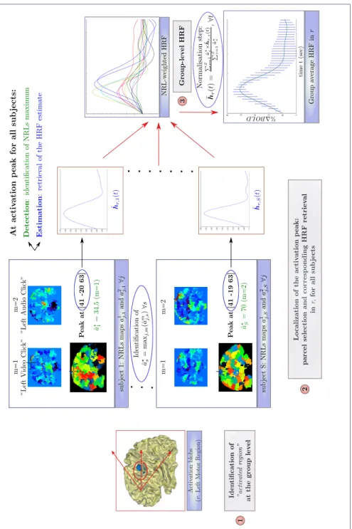 Figure 8: General sketch summarizing the HRF computation at the subject and group-levels in activated regions r ∈ Υ 
