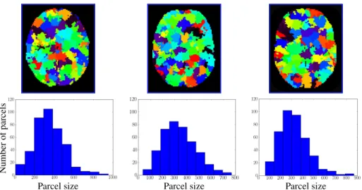 Figure 2: Parcellations (Γ = 500) shown in the same slice for three different subjects