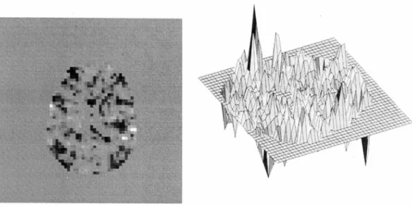 Figure 3.11:  Illustration of noise level on the manifold of a GLM parameter map . 