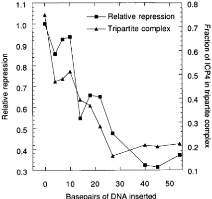 FIG. 3. Graphical representation of the phasing and spacing effects on re-pression and tripartite-complex formation