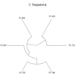 Figure 4.  Principal components for the formation of groups for the six corn genotypes (PL 712, PL 725, PL 796, PL 804 and PL 861) obtained by analysis of the plant height characters (PHE), stem diameter (SDI) , ear insertion height (EHE), number of rows p
